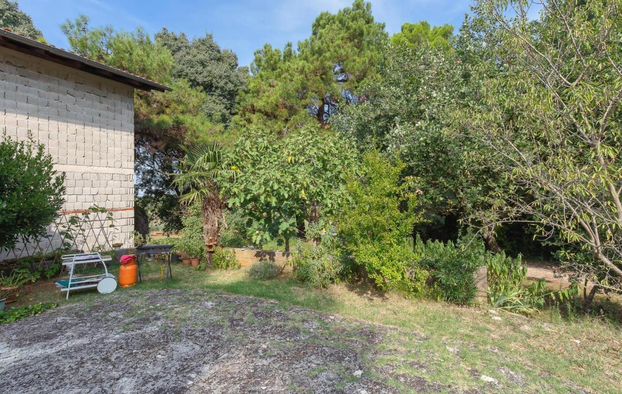 St. Becic Apartman Poreč Kültér fotó